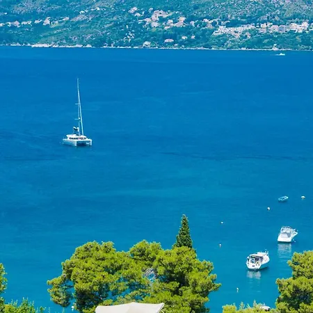 Family Ambient * Cavtat