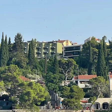 Apartment Family Ambient