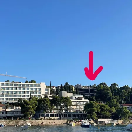 Family Ambient Apartment